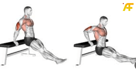 تمارين الذراع