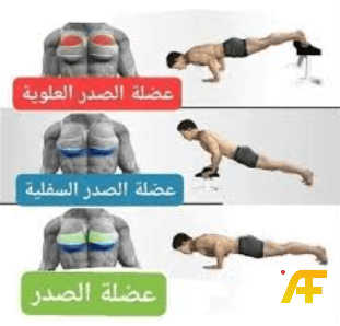تمارين الصدر