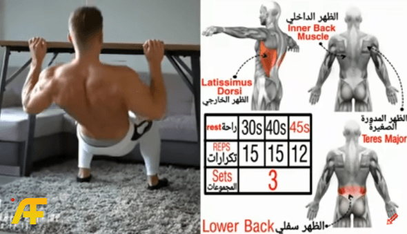 تمارين الظهر