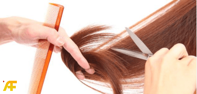 كيفية إعادة بناء الشعر التالف