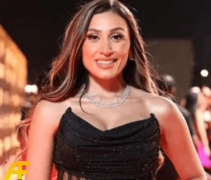 لماذا يعتبر دعم حلا شيحة مهماً من الناحية الإعلامية؟