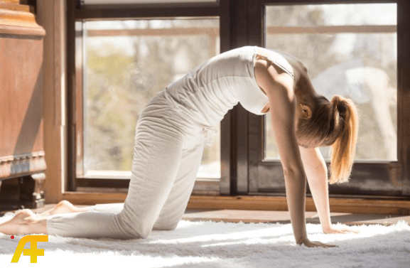 وضعية القطة والبقرة