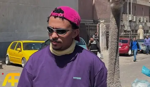 ما هي قصة مسلسل بيبو؟